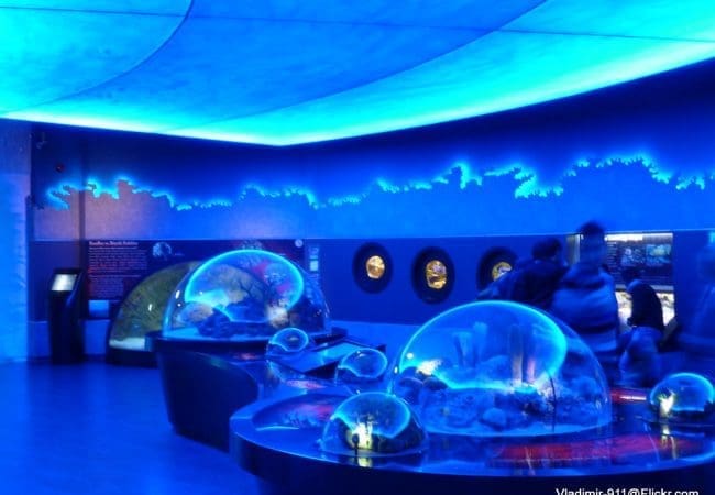 Istanbul Aquarium