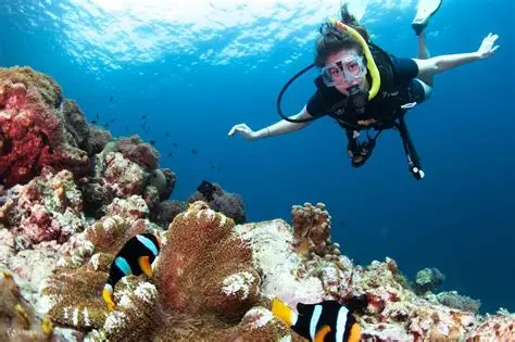 Diving Trip